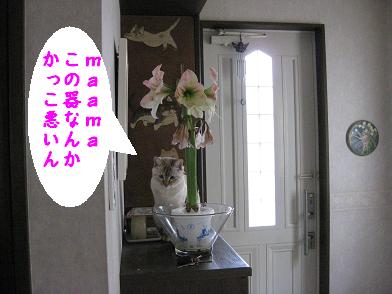 b0151748_1601439.jpg
