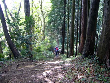 自転車(MTB)で二ツ塚_d0014748_19515075.jpg