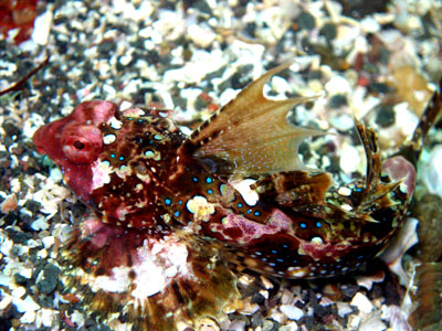 d0058549_1713063.jpg
