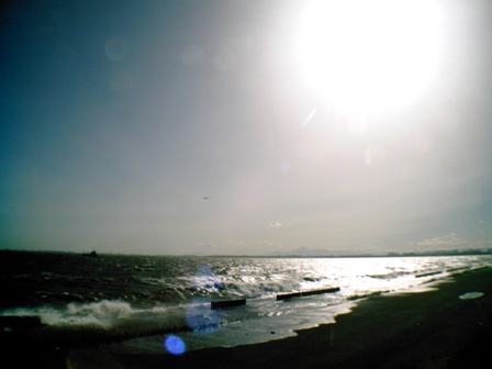 e0028650_2351238.jpg