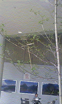 f0205453_22364767.gif