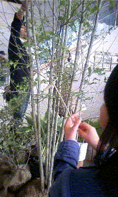 f0205453_22405539.gif