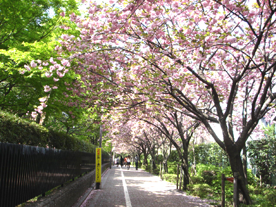e0044855_10376.jpg