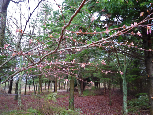 b0045357_8493340.jpg