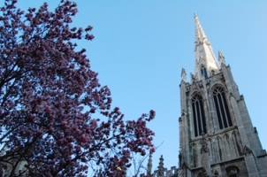 f0063659_23541286.jpg