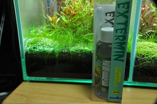 エクスタミンによる藍藻駆除 Aqualiving