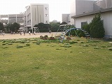 b0096463_98440.jpg