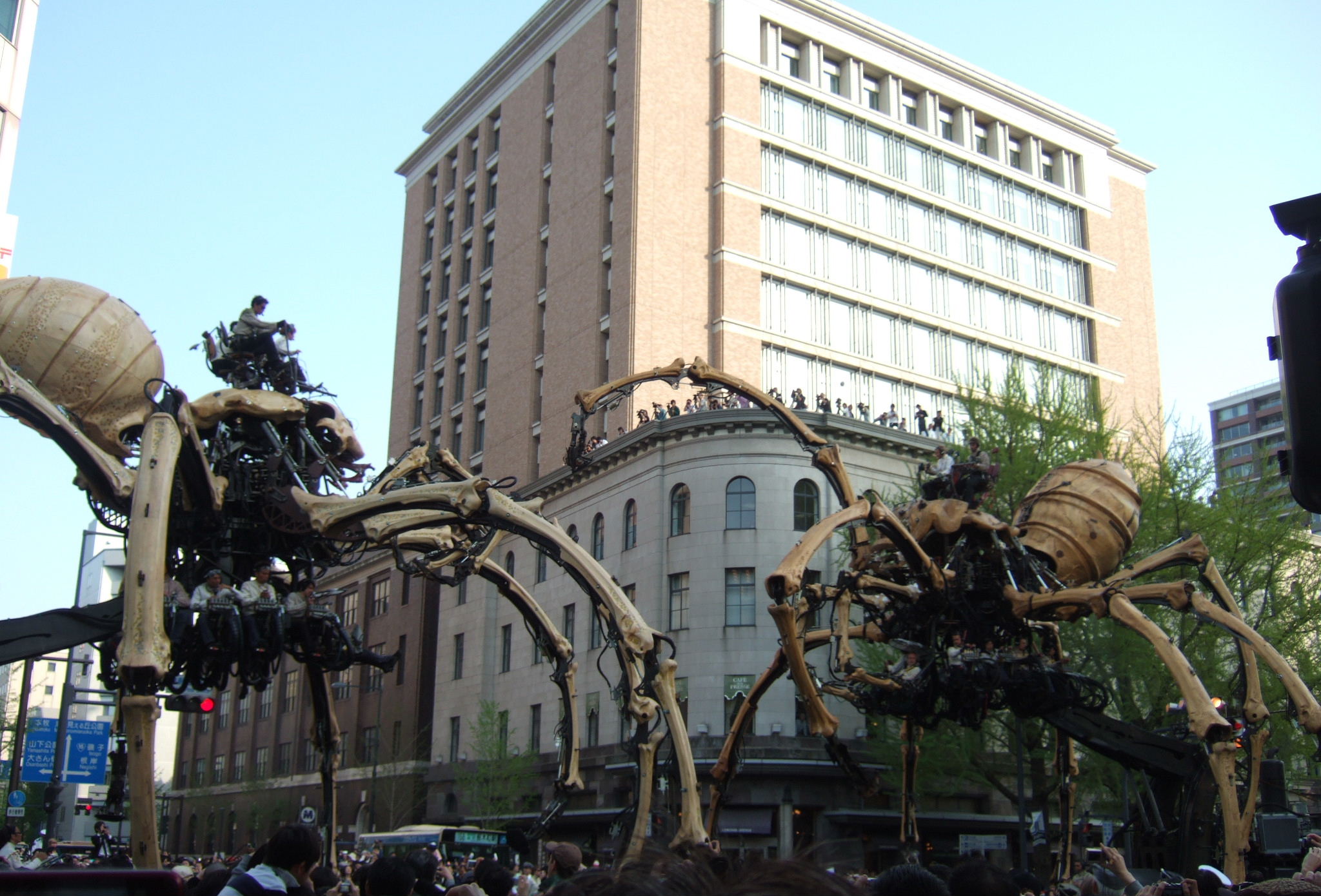 d0032363_23553245.jpg