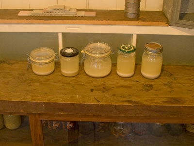 c0177264_15193.jpg