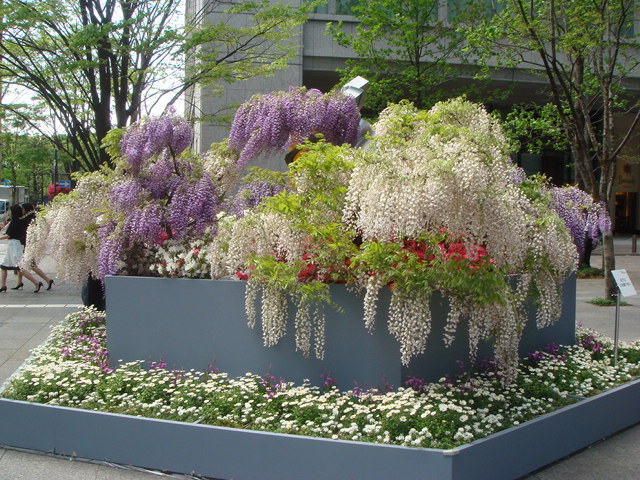 Marunouchi Flower Weeks_e0078564_21573829.jpg