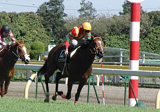f0196665_23471323.jpg