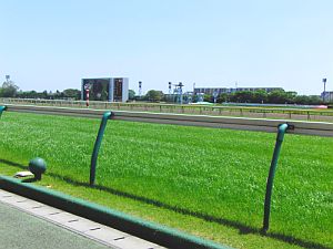 f0196665_2391749.jpg
