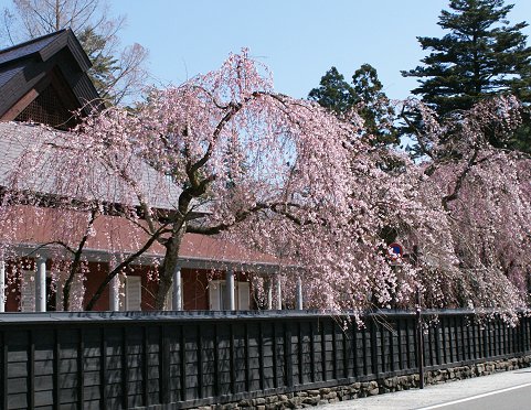 a0039366_23265055.jpg