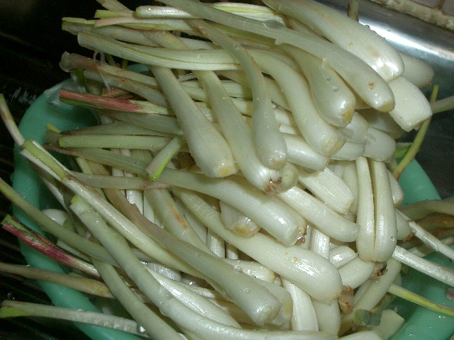 c0162773_1433282.jpg