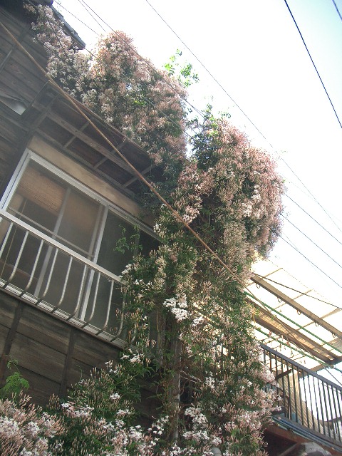 c0162773_14445550.jpg