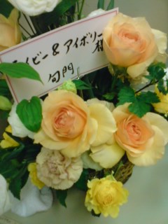 b0117375_1518976.jpg