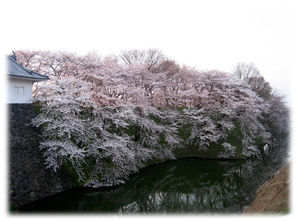 桜の風景その2〜4_f0056278_1701610.jpg