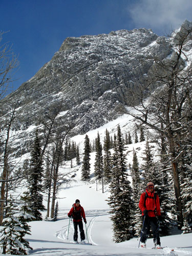 b0110880_438258.jpg