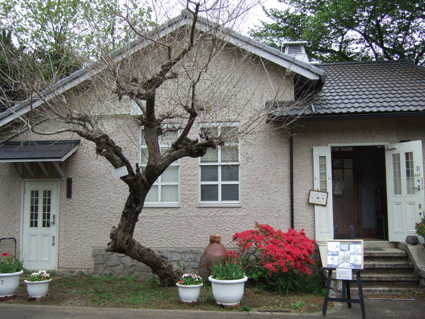 小石川植物園 柴田記念館 道草ギャラリー 小石川植物園 柴田記念館 道草ギャラリー