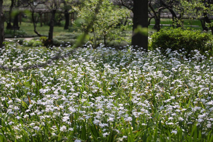 f0164989_8412019.jpg