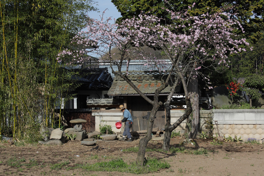 上海渡カタクリ園から光輪寺へ（09．04．18）５_c0007190_17543917.jpg