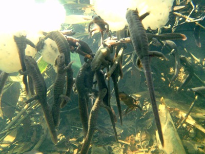 f0159390_13145716.jpg