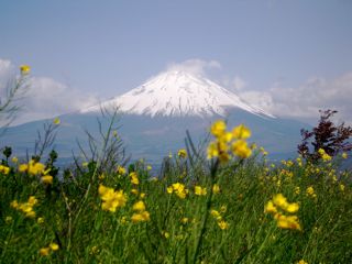 d0010496_21281081.jpg