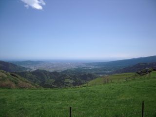 d0010496_21324312.jpg
