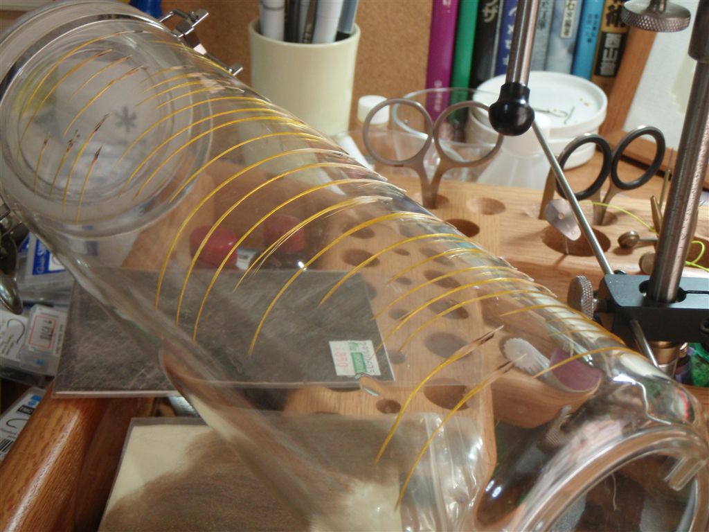 c0177497_1831815.jpg