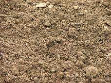 粘土質の土の改善策 さくさく畑