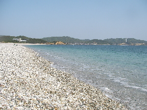c0121102_625264.jpg