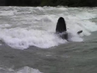 f0164003_23353233.jpg