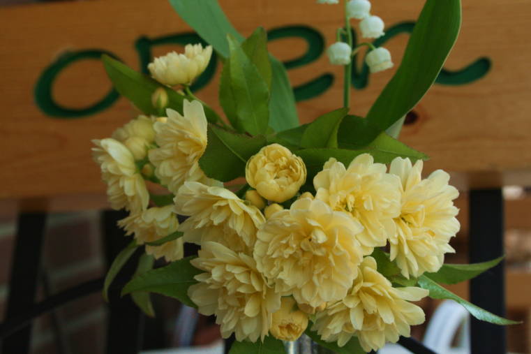 f0031304_1742635.jpg