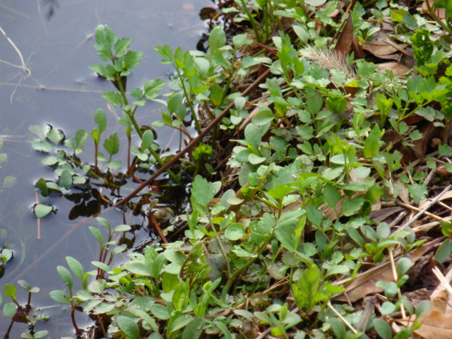 e0175905_2382314.jpg