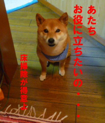 e0131506_032390.jpg