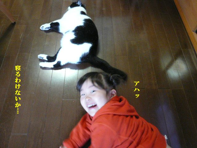 e0094407_14405881.jpg