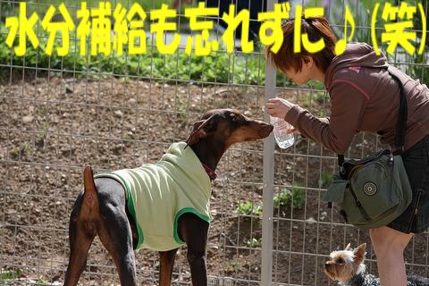 e0100007_21311766.jpg