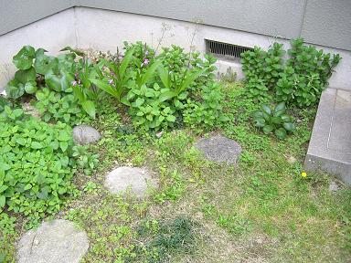 f0163810_153249.jpg