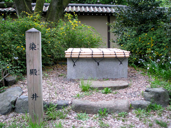 京都御苑 ヤマブキなど_e0048413_238627.jpg