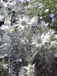 f0049813_93404.jpg