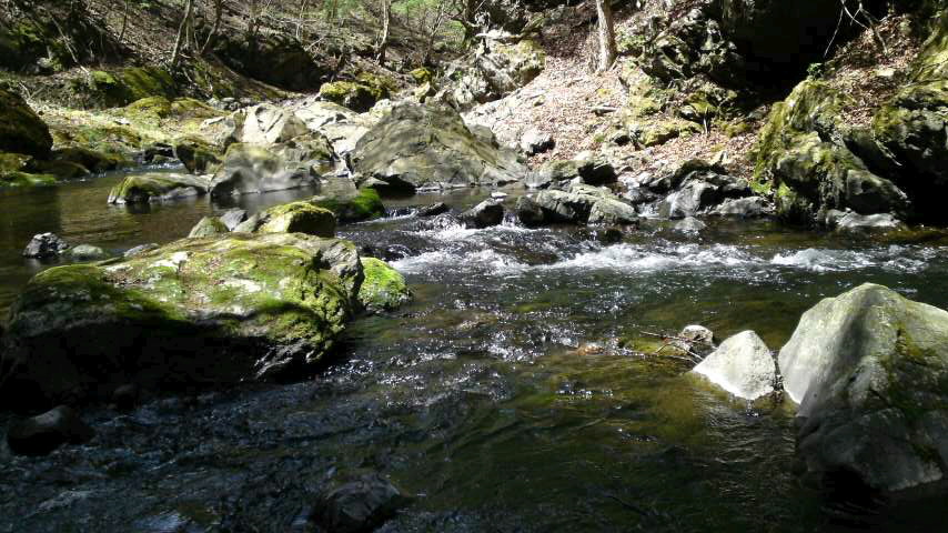 f0062414_17364510.jpg