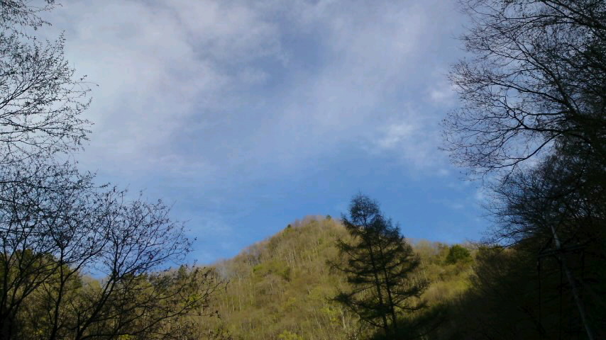 f0062414_17364748.jpg