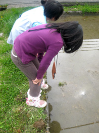 e0058118_8362939.jpg