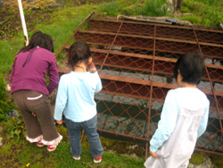 e0058118_8451673.jpg