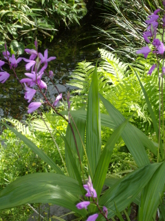 c0172620_16251926.jpg