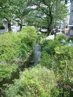 c0172620_1625225.jpg