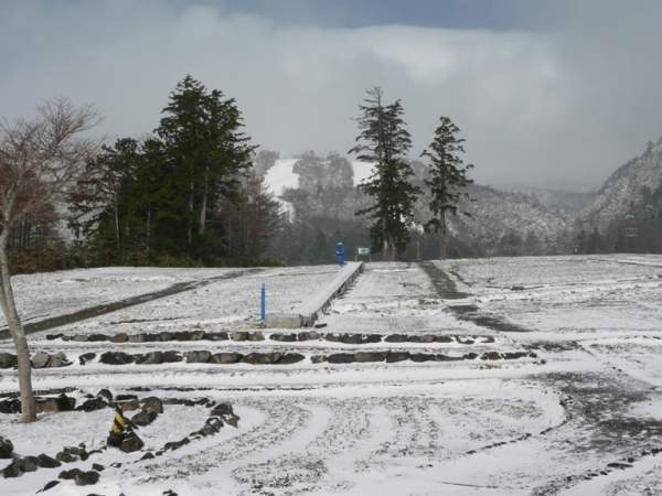 今日も雪が降りました。_a0049226_192256.jpg