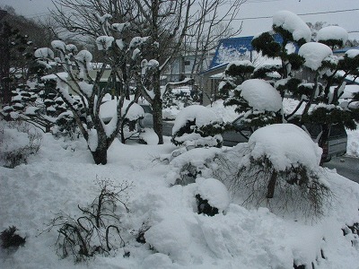 2009年4月27日　余計な雪だ！_f0095426_11381844.jpg