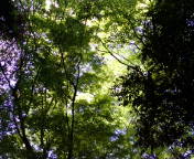 f0195131_23571312.jpg
