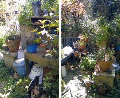 f0200036_22235137.jpg